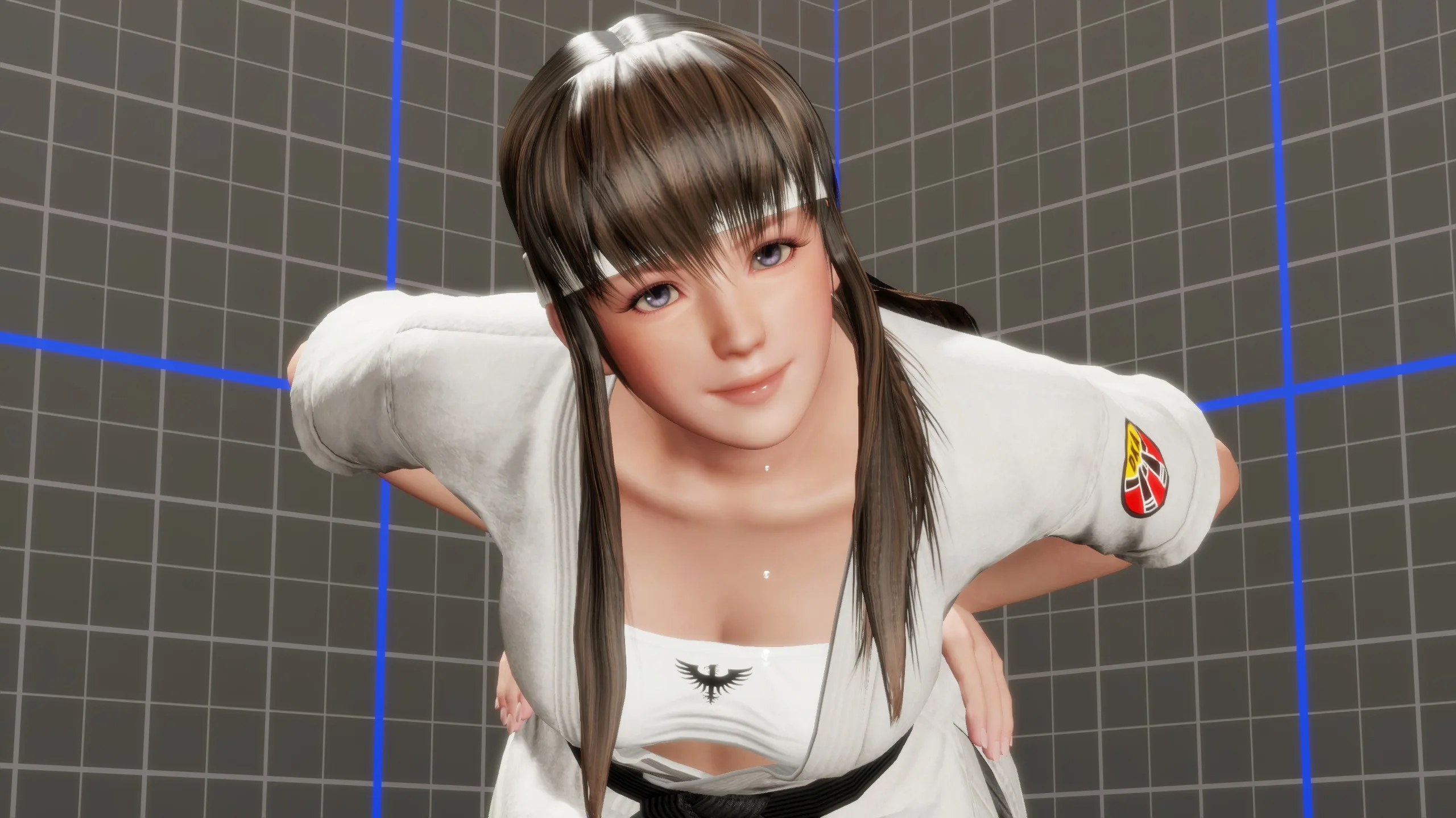 DEAD OR ALIVE 6 Last Round - Demonstração suor