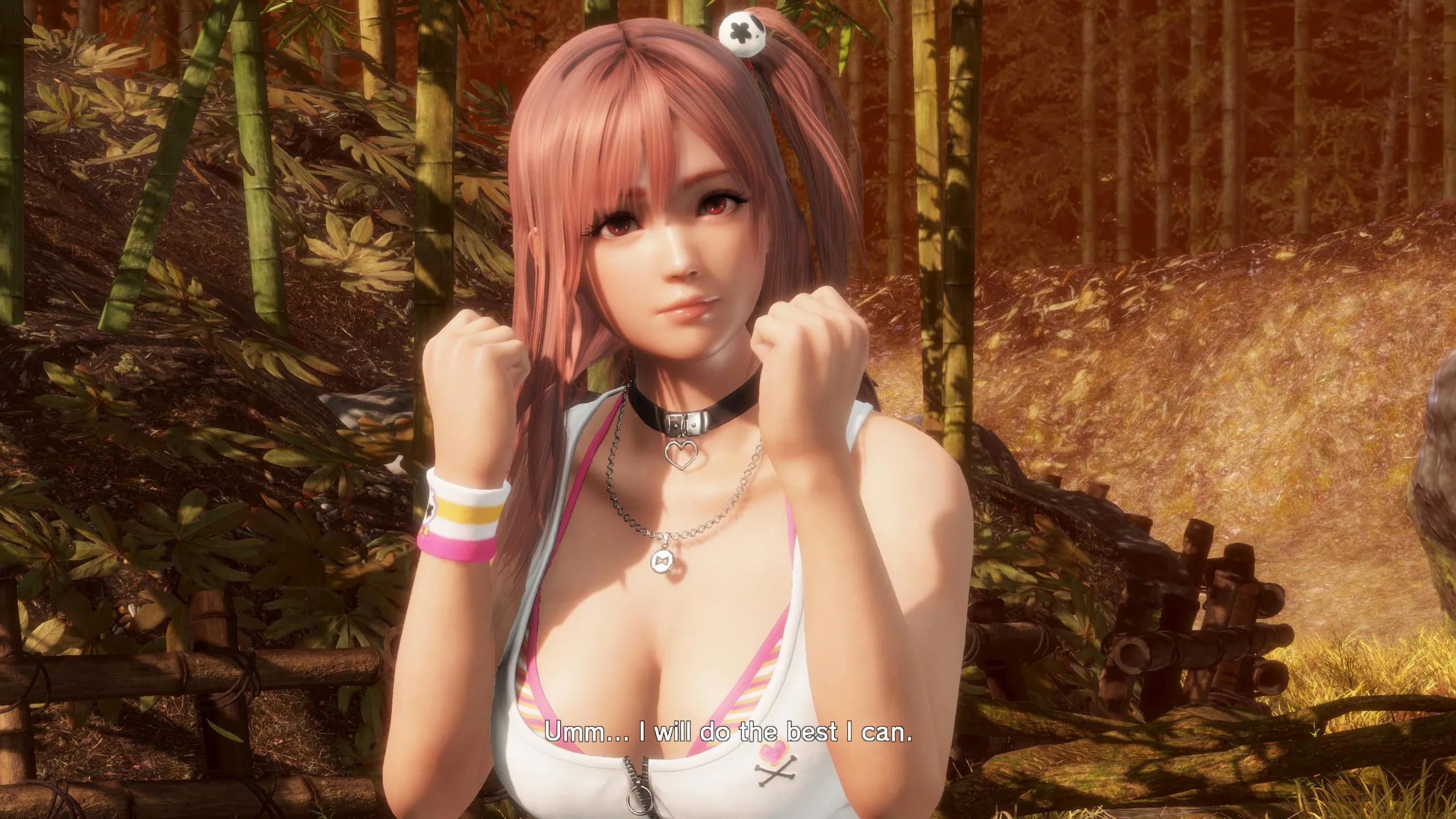 DEAD OR ALIVE 6 Last Round - Honoka Fight Screen
